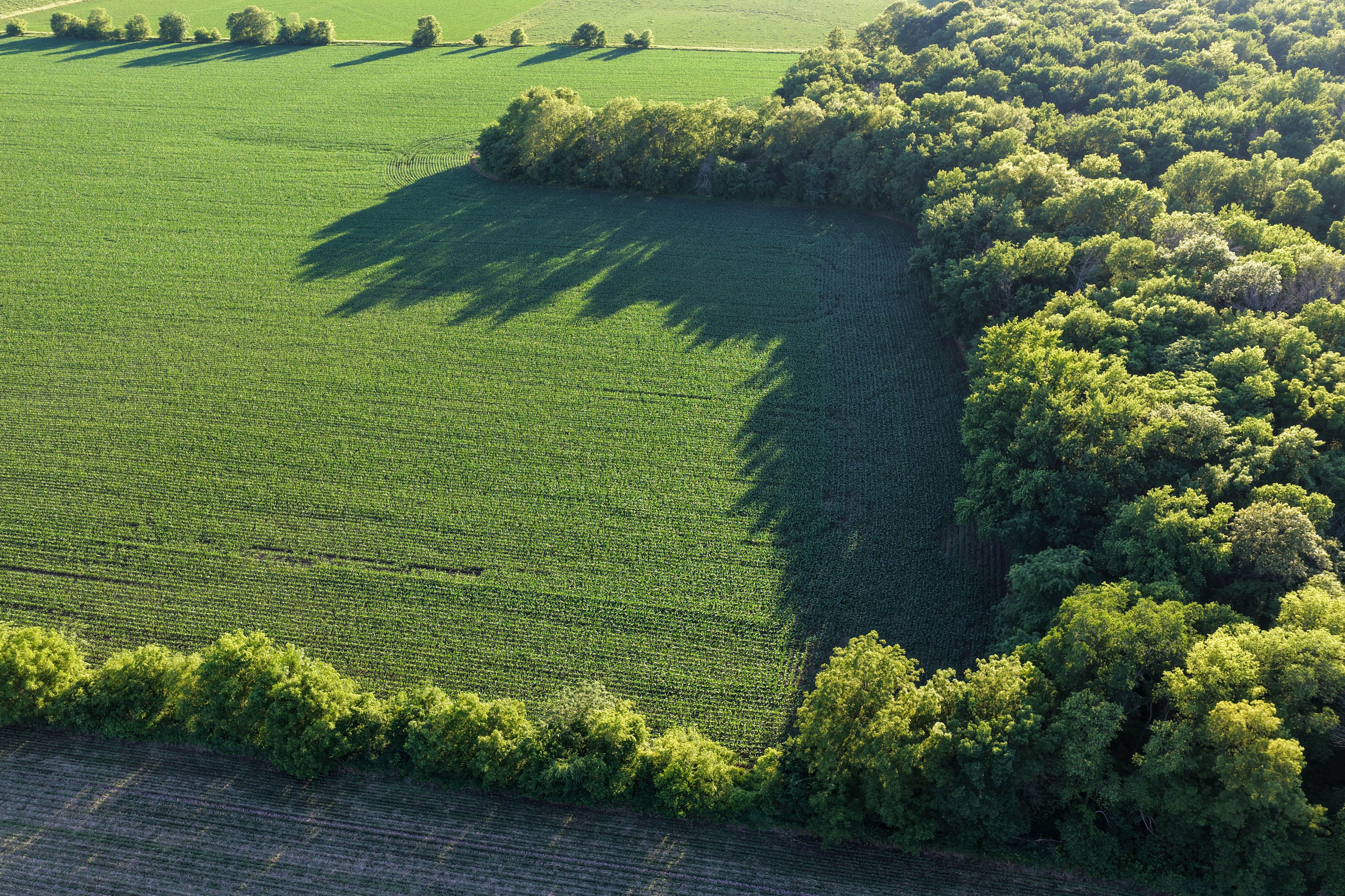 Listing Photo: Hard Surface road plus 40 acre Building Site Johnson County Iowa-60
